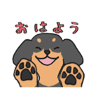 黒ダックス（個別スタンプ：5）
