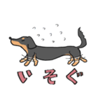 黒ダックス（個別スタンプ：6）