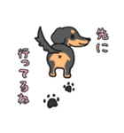 黒ダックス（個別スタンプ：7）