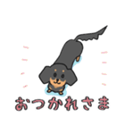 黒ダックス（個別スタンプ：13）