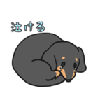 黒ダックス（個別スタンプ：14）