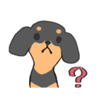 黒ダックス（個別スタンプ：17）