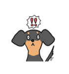 黒ダックス（個別スタンプ：19）