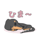 黒ダックス（個別スタンプ：21）
