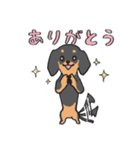 黒ダックス（個別スタンプ：22）