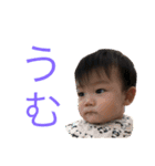 たくとすたんぷ ①（個別スタンプ：7）