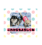 チワワ ラブラブ編（個別スタンプ：8）