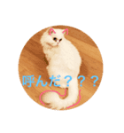 ビビアンアイディーエスティー（個別スタンプ：6）