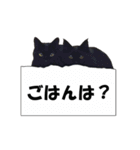 黒猫兄弟 大吉と大福（個別スタンプ：28）