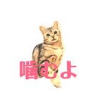 仕事モード（個別スタンプ：3）