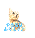 仕事モード（個別スタンプ：5）