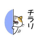 ふくみけ（個別スタンプ：40）