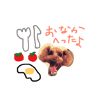 なかち（個別スタンプ：1）