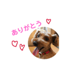 なかち（個別スタンプ：11）