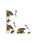 超増殖ペンギン（個別スタンプ：19）