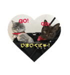 3匹のねこず（個別スタンプ：8）