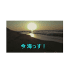 忙しい釣行時にぜひ（個別スタンプ：1）