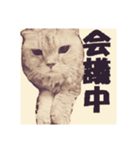 毛玉の日常（個別スタンプ：3）