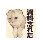 毛玉の日常（個別スタンプ：4）