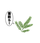 食べ物・生き物一言スタンプ（個別スタンプ：1）