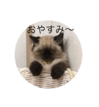 イム＆レオン（個別スタンプ：3）