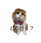 イム＆レオン（個別スタンプ：6）