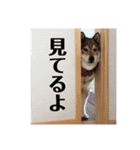 可愛いももちゃん2（個別スタンプ：5）