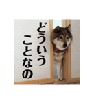 可愛いももちゃん2（個別スタンプ：6）