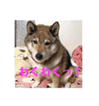 可愛いももちゃん2（個別スタンプ：12）
