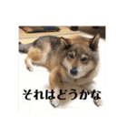 可愛いももちゃん2（個別スタンプ：14）