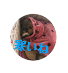 可愛いももちゃん2（個別スタンプ：18）