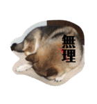 可愛いももちゃん2（個別スタンプ：27）