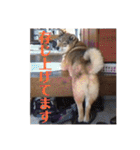 可愛いももちゃん2（個別スタンプ：34）