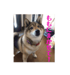 可愛いももちゃん2（個別スタンプ：35）
