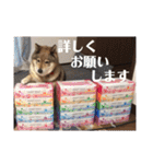 可愛いももちゃん2（個別スタンプ：36）