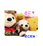 シーズのくるみちゃんの友達（個別スタンプ：8）