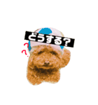 トイプードルのルナちゃん可愛いスタンプ（個別スタンプ：14）