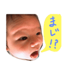 あおちゃん vol.1（個別スタンプ：11）