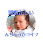 あおちゃん vol.1（個別スタンプ：15）