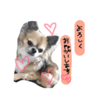 かわいいかわいいこたろう（個別スタンプ：14）