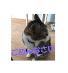 アレンとケビンと時々ロク（個別スタンプ：7）