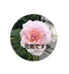 はなとことば（個別スタンプ：2）