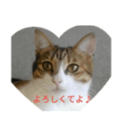 けいとちゃん（個別スタンプ：2）
