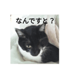 けいとちゃん（個別スタンプ：4）