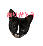 ミクとふらん（個別スタンプ：3）