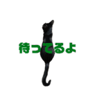 ミクとふらん（個別スタンプ：7）