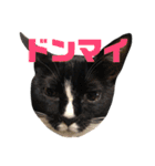 ミクとふらん（個別スタンプ：8）