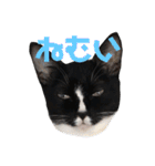 ミクとふらん（個別スタンプ：17）
