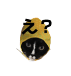 ミクとふらん（個別スタンプ：22）
