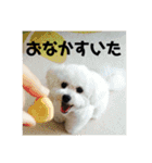 ミクとふらん（個別スタンプ：30）